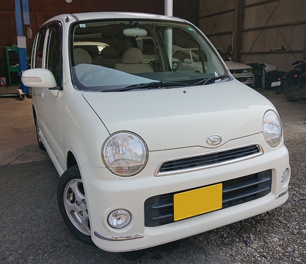 ムーヴラテ　入荷しました！